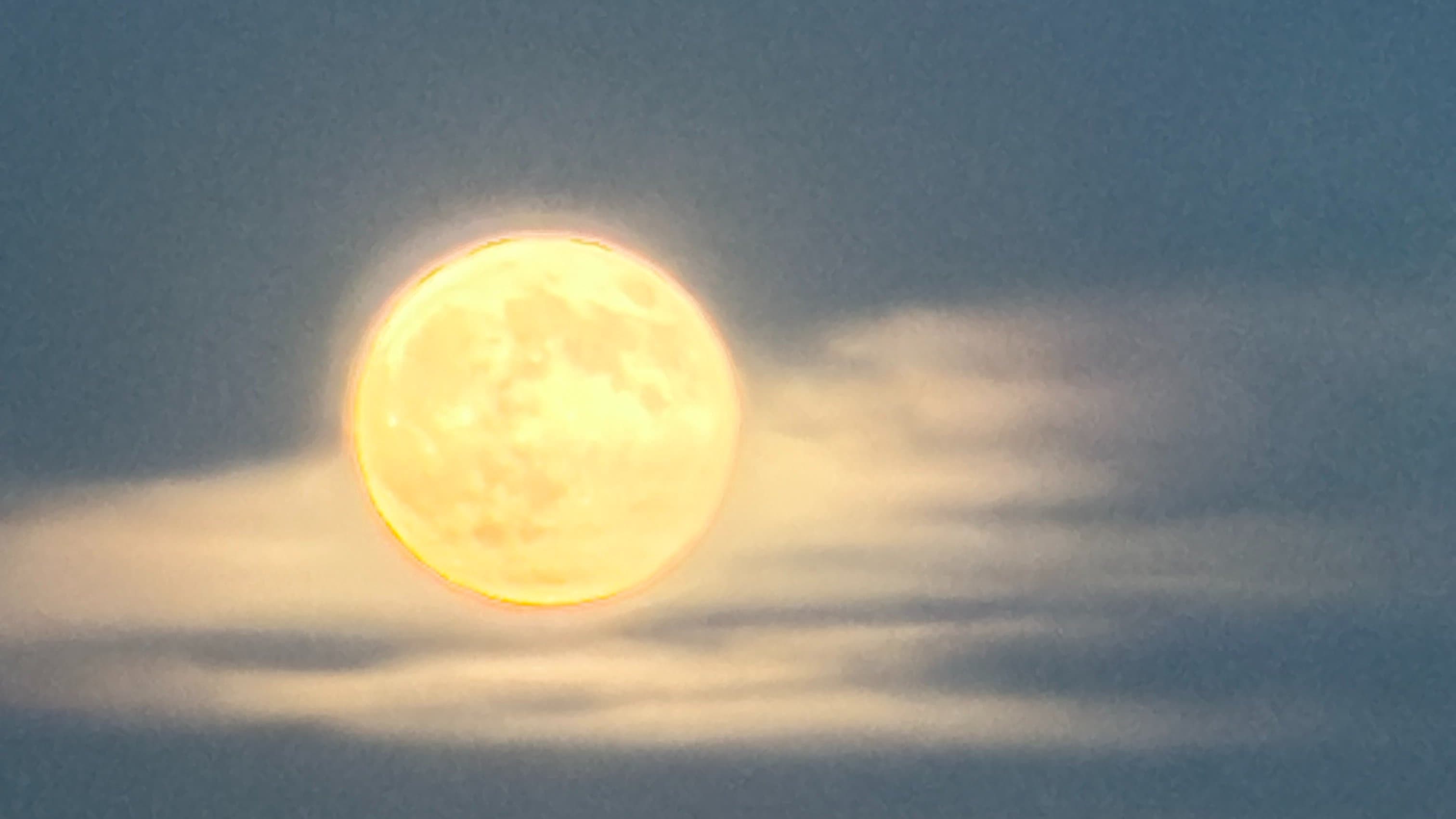Walk Into the Dark: Full Moon Hike — Blue Moon