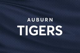 Auburn Tigers Softball