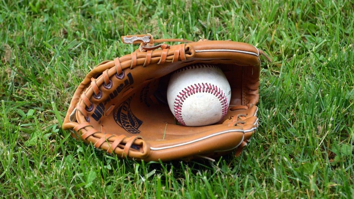 Brooklyn Cyclones vs. Hudson Valley Renegades