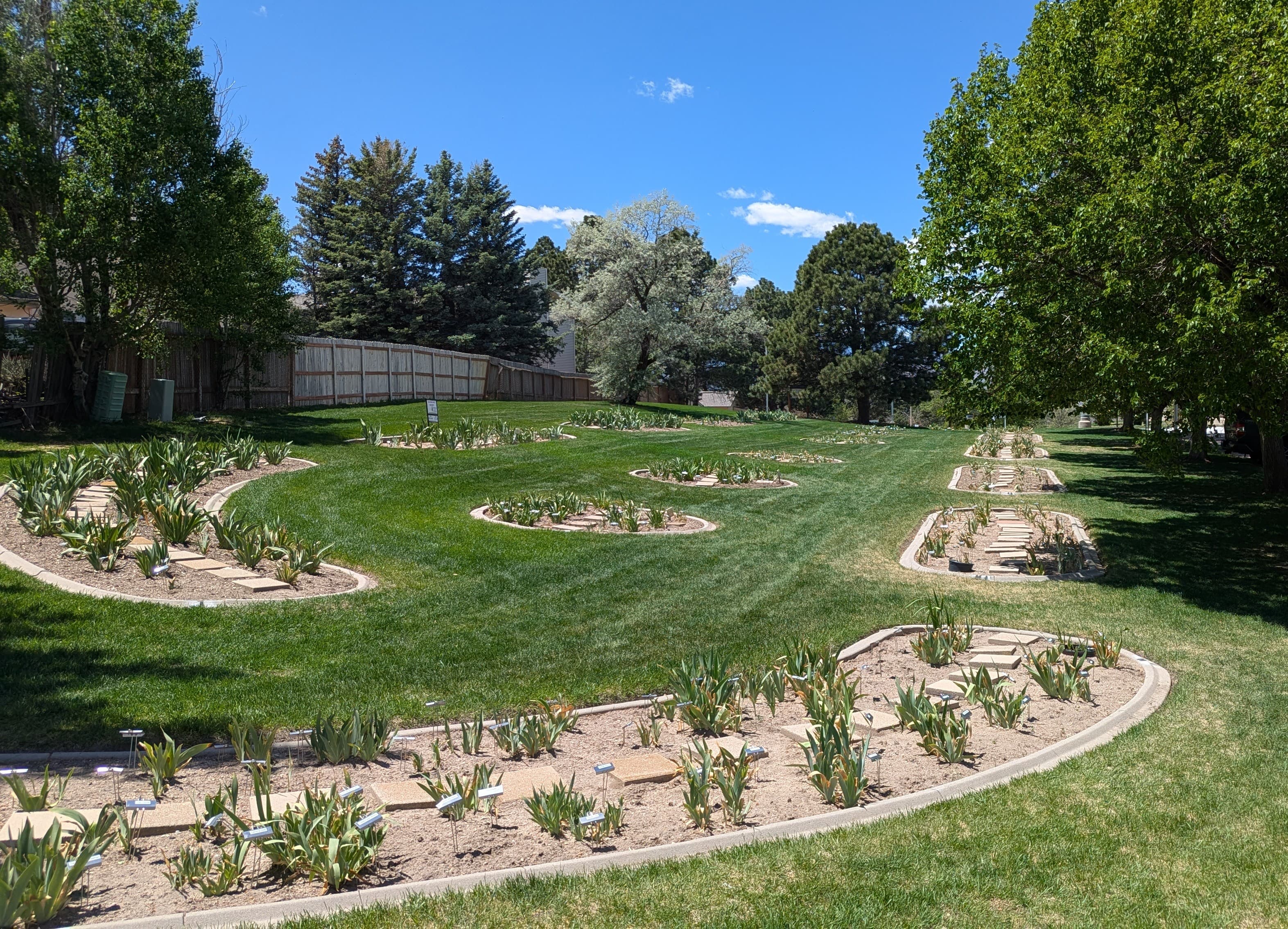 Art in the Park - East Library Iris Gardens