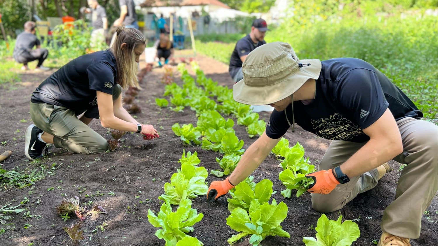Serving at Open Arm's Abundance Farm in Saint Paul